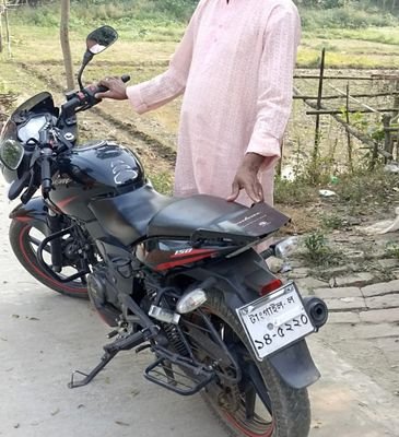 Premium Back Carrier Pulser 150 Sd & 150 DD - Image 3